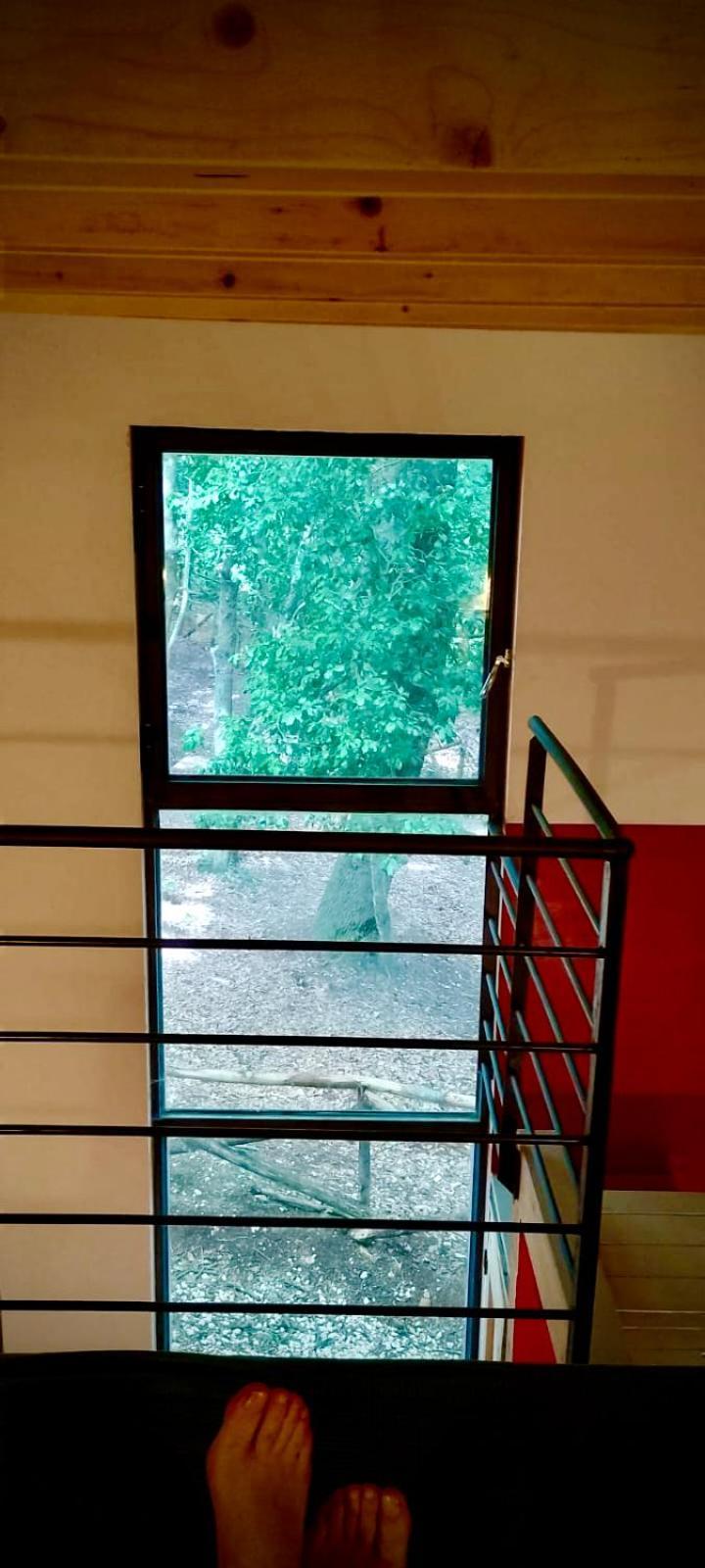 Agriturismo Parco Dai Nonni Ischitella Buitenkant foto