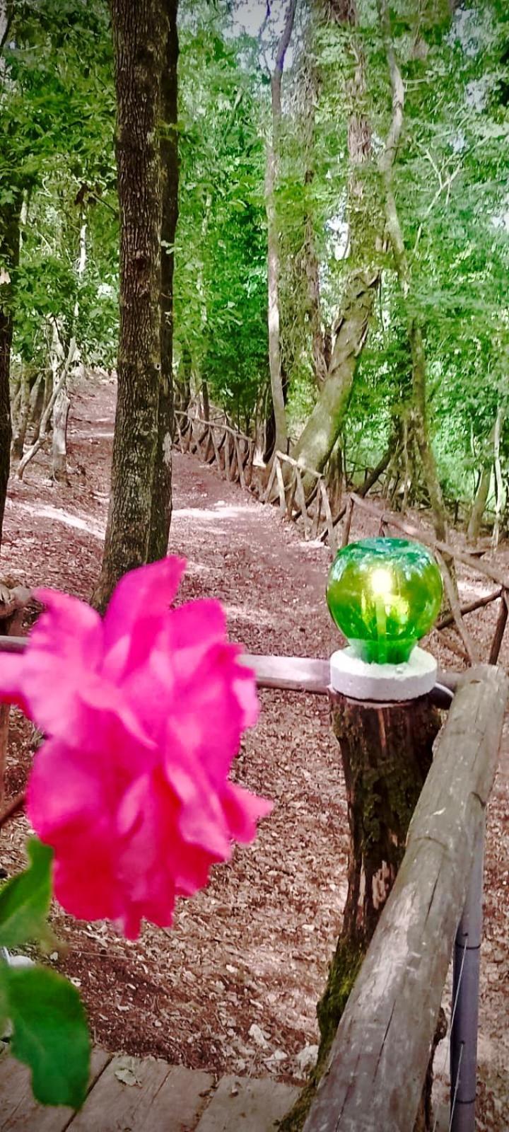 Agriturismo Parco Dai Nonni Ischitella Buitenkant foto
