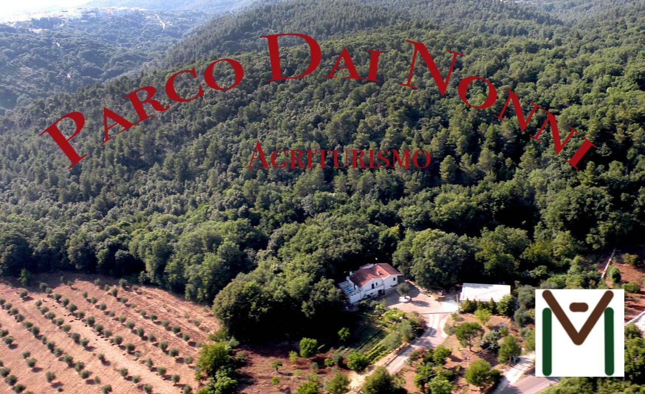 Agriturismo Parco Dai Nonni Ischitella Buitenkant foto