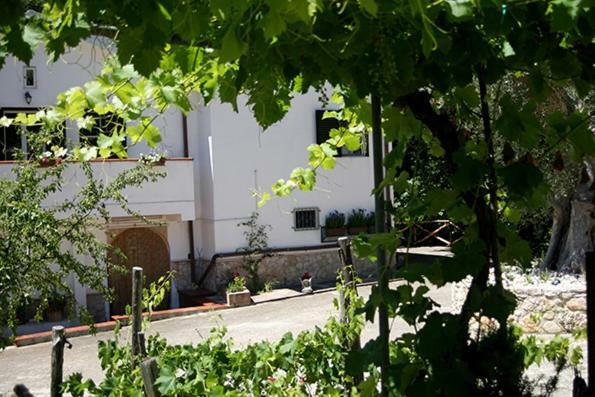 Agriturismo Parco Dai Nonni Ischitella Buitenkant foto